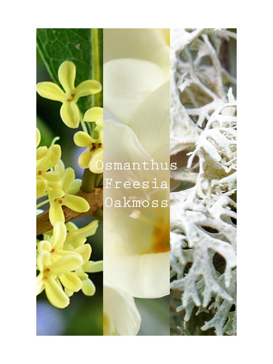 Ex Nihilo - Fleur Narcotique Extrait De Parfum -tuoksu - NOCOL | Stockmann - photo 4