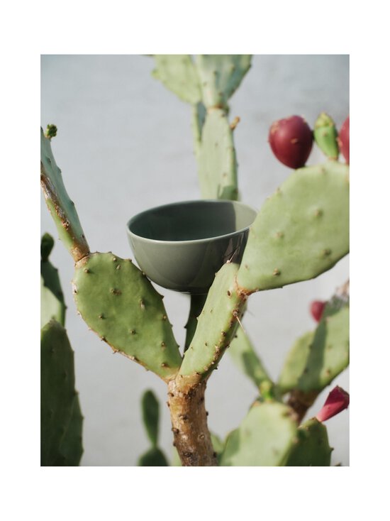 Arabia - Magustoidukauss 24h 0,3 l - GREEN GREEN | Stockmann - photo 5