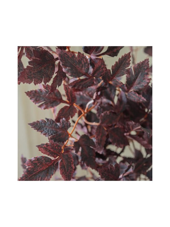Botané - Burgundy Plum Leaves -koristeoksa - RED | Stockmann - photo 2