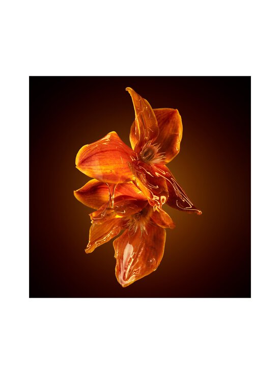 BOSS - The Scent Intense for Her EdP -tuoksu - NOCOL | Stockmann - photo 12