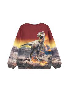 Molo - Collegepaita - 9723 DINO LANDSCAPE Molo - Collegepaita - 9723 DINO LANDSCAPE | Stockmann