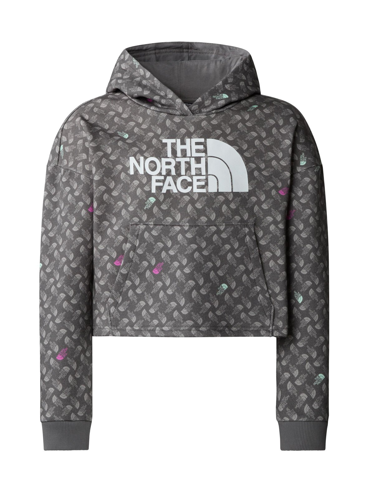 The North Face Drew peak light print -huppari