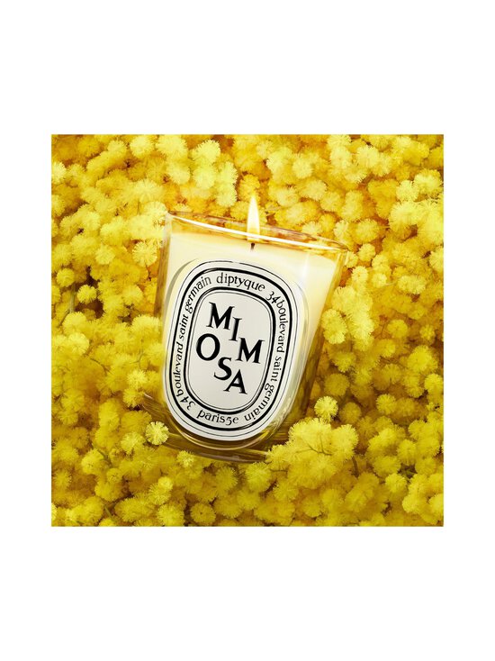 Diptyque - Mimosa Classic -tuoksukynttilä 190 g - NOCOL | Stockmann - photo 4