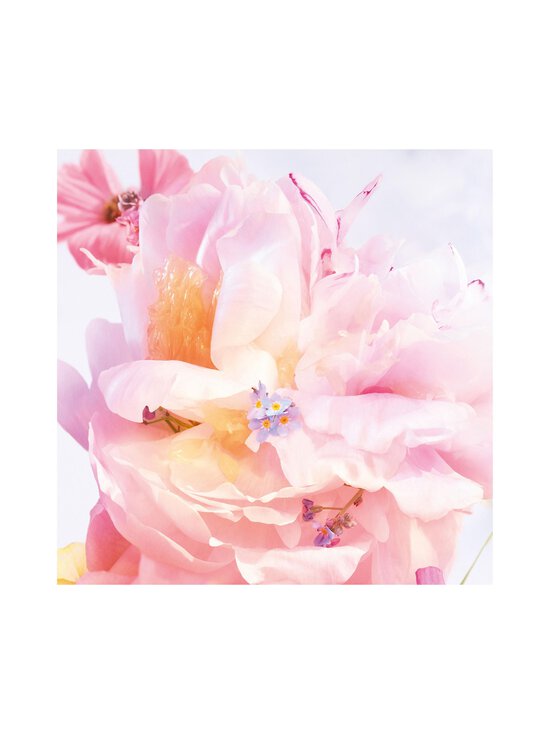 DIOR - Miss Dior Blooming Bouquet EdT -tuoksu - NOCOL | Stockmann - photo 6
