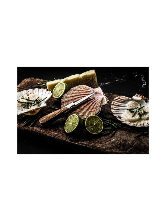 Laguiole - Style De Vie Oyster Mussel Knives Set -veitsipakkaus 3 kpl - LIGHT WOOD | Stockmann - photo 5
