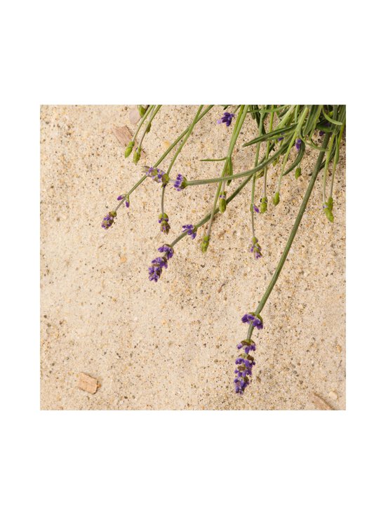 Chloé - Atelier Des Fleurs Soleil Lavande EdP -tuoksu - NOCOL | Stockmann - photo 8
