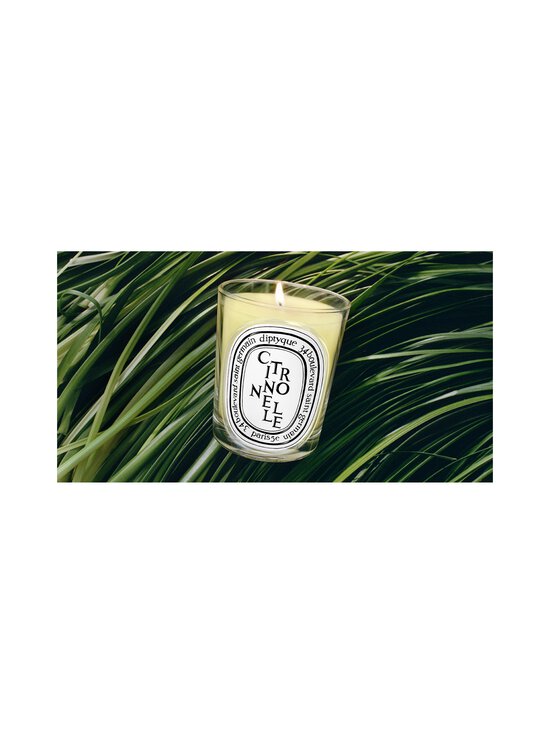 Diptyque - Citronnelle Classic -tuoksukynttilä 190 g - NOCOL | Stockmann - photo 4