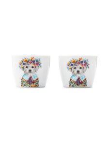 Tipperleyhill - Puppy olu trauciņi 2 gab., dāvanu iepakojumā - MULTICOLOR | Stockmann