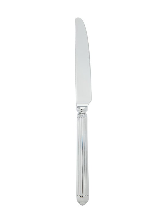 Pintiinox - Ellade-veitsi - 07900003 STEEL | Stockmann - photo 1