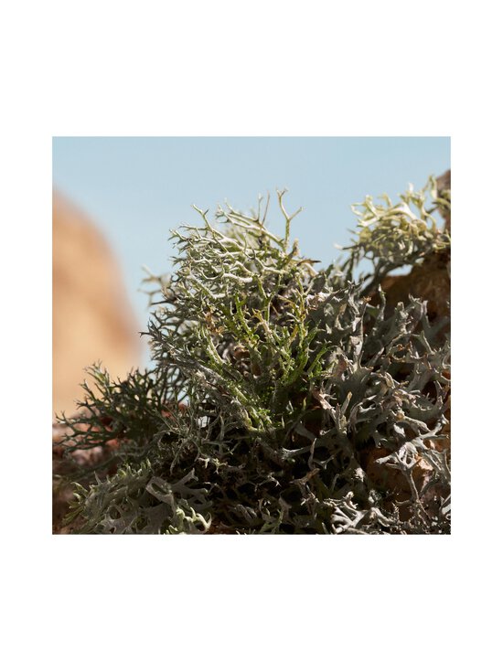 Dolce & Gabbana - Q Elixir -tuoksu - NOCOL | Stockmann - photo 5