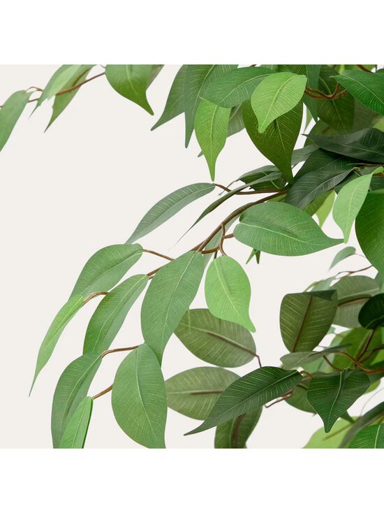 Kave Home - Ficus-tekokasvi - VIHREÄ - photo 4 Kave Home - Ficus-tekokasvi - VIHREÄ | Stockmann - photo 4