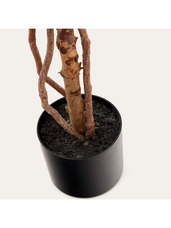 Kave Home - Ficus-tekokasvi - VIHREÄ - photo 5 Kave Home - Ficus-tekokasvi - VIHREÄ | Stockmann - photo 5