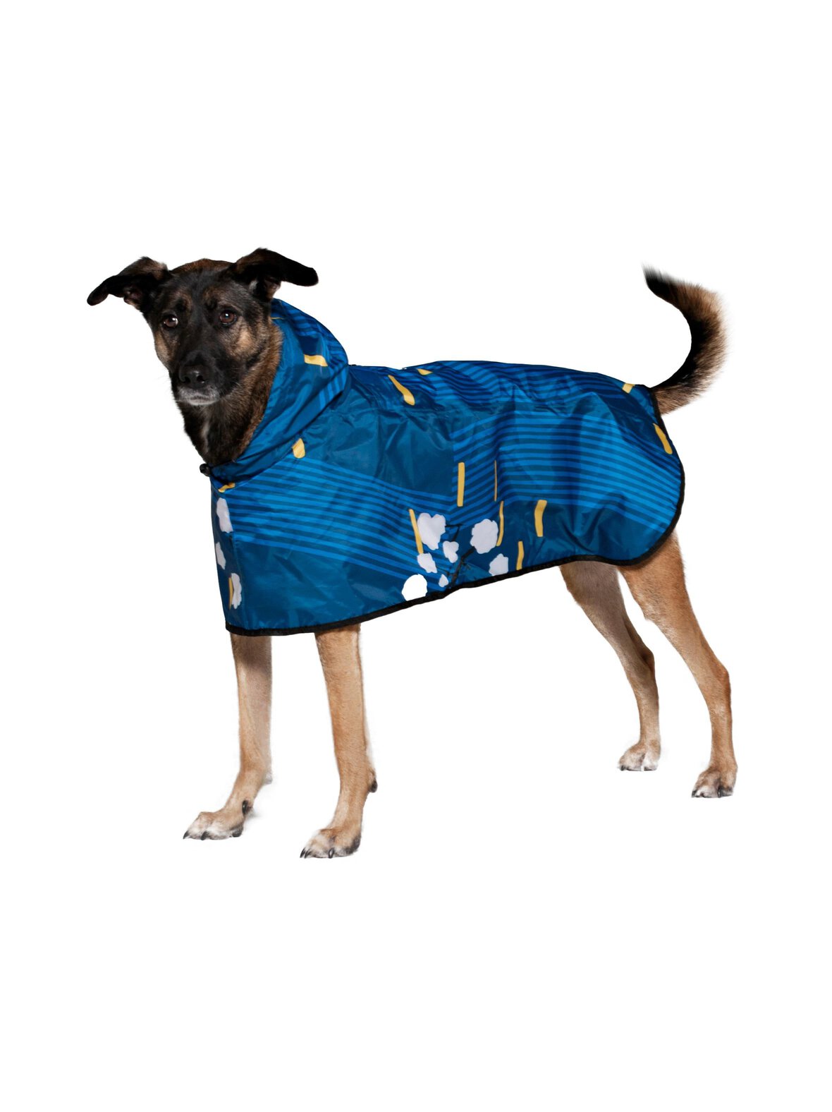 Japanese Blossom -sadeponcho koiralle