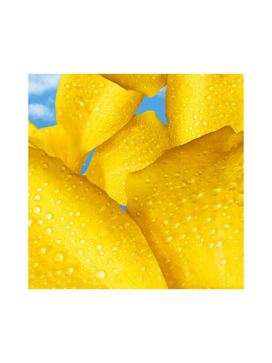 Escada - Yum Me Sunny Eau de Parfum -tuoksu - NOCOL | Stockmann - photo 9