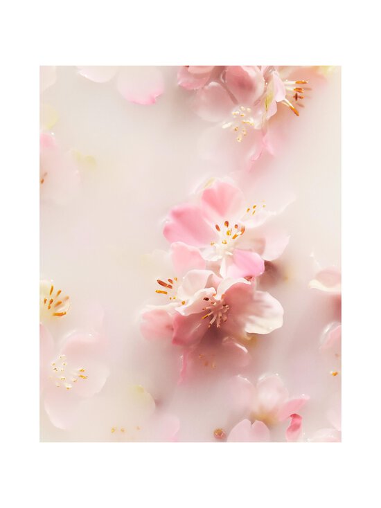 Rituals - The Ritual of Sakura Medium Gift Set -ihonhoitopakkaus - NOCOL - photo 4 Rituals - The Ritual of Sakura Medium Gift Set -ihonhoitopakkaus - NOCOL | Stockmann - photo 4