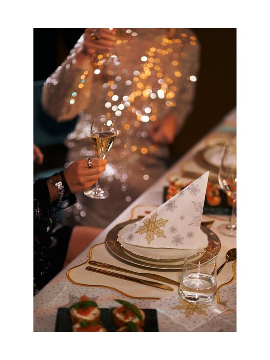 Duni - Duni Bio Dunisoft Snowstars papīra salvetes 40 x 40 cm - WHITE - photo 3 Duni - Duni Bio Dunisoft Snowstars papīra salvetes 40 x 40 cm - WHITE | Stockmann - photo 3