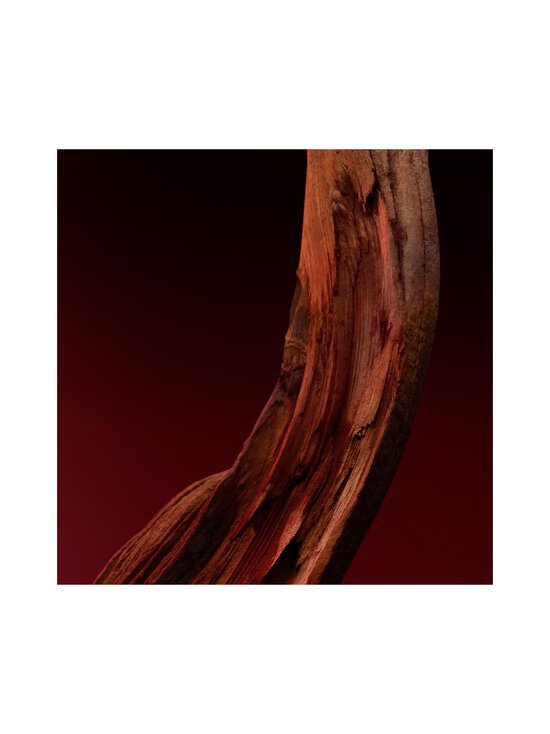 BOSS - The Scent Elixir for Him Parfum Intense -tuoksu - NOCOL - photo 11 BOSS - The Scent Elixir for Him Parfum Intense -tuoksu - NOCOL | Stockmann - photo 11