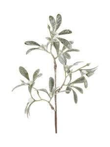 Weiste - Misteltoe Ziemassvētku rotājums - GREEN Weiste - Misteltoe Ziemassvētku rotājums - GREEN | Stockmann