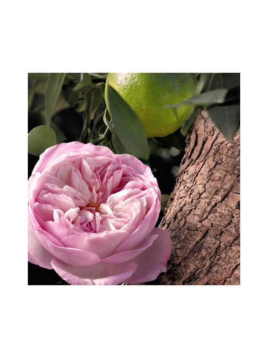 Chloe - Rose Naturelle Intense EdP -tuoksu 30 ml - NOCOL - photo 5 Chloe - Rose Naturelle Intense EdP -tuoksu 30 ml - NOCOL | Stockmann - photo 5