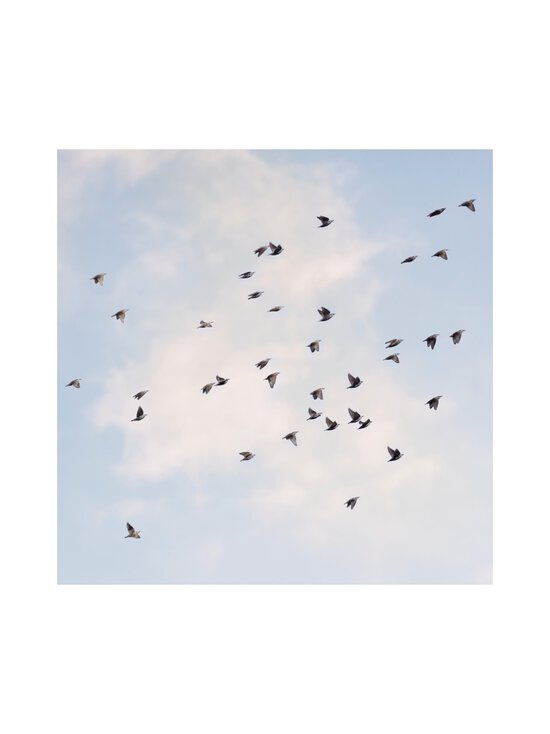 Burberry - Her Parfum, 30 ml - NOCOL | Stockmann - photo 9