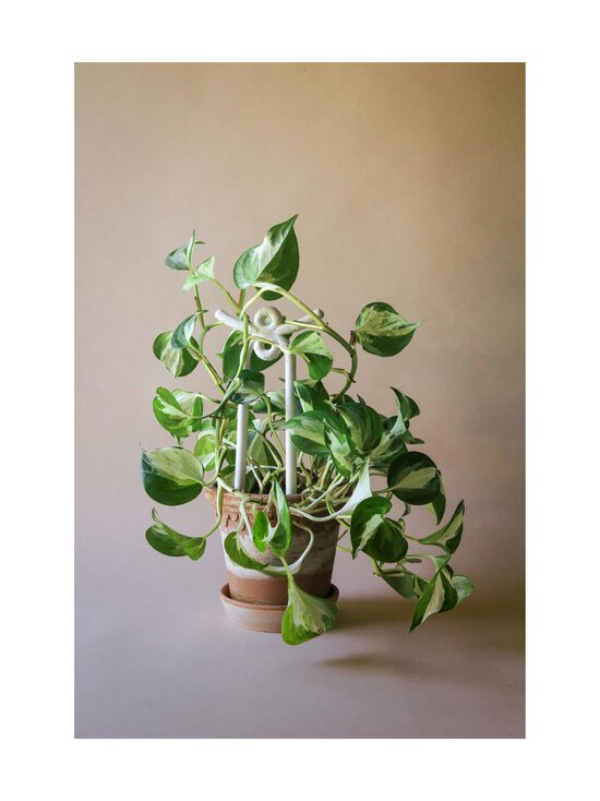 Bergs Potter - Folk-istutustuki 13 x 13 x 29 cm - PEBBLE WHITE | Stockmann - photo 2