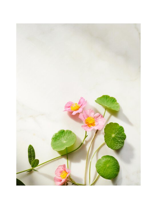 Rituals - The Ritual of Namaste Ageless Firming Night Cream nakts krēms 50 ml - WHITE - photo 4 Rituals - The Ritual of Namaste Ageless Firming Night Cream nakts krēms 50 ml - WHITE | Stockmann - photo 4