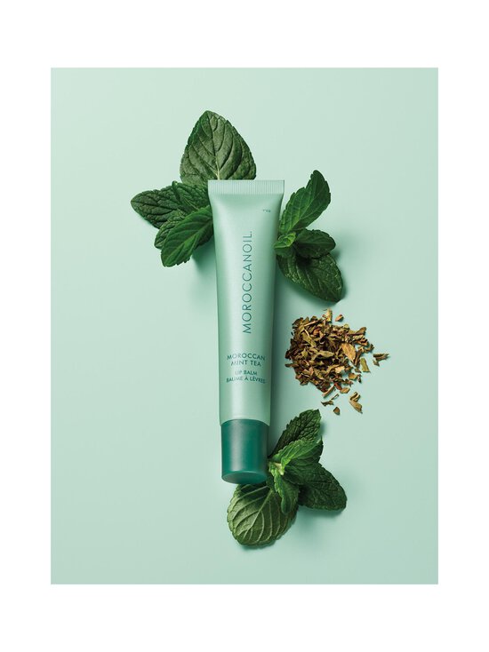 Moroccanoil - Lip Balm Mint Tea -huulivoide - NOCOL | Stockmann - photo 4