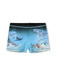 Molo - Ujumispüksid Norton Placed - 5213 AIR BRUSH DEEP | Stockmann