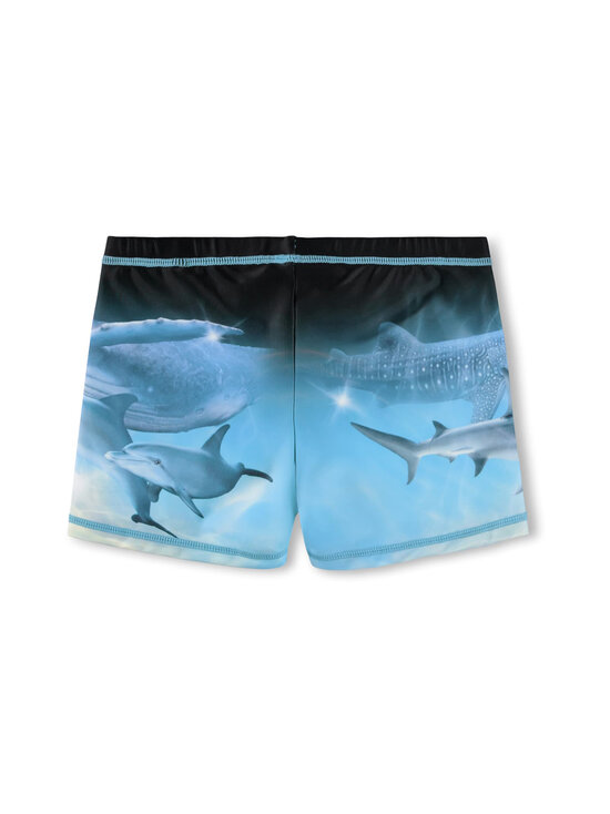 Molo - Ujumispüksid Norton Placed - 5213 AIR BRUSH DEEP | Stockmann - photo 2