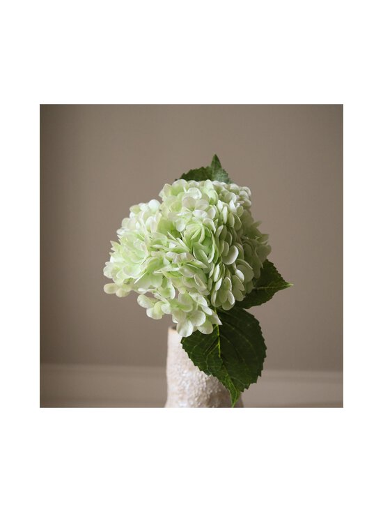 Botané - Light Green Hydrangea -koristekukka - LIGHT GREEN | Stockmann - photo 2