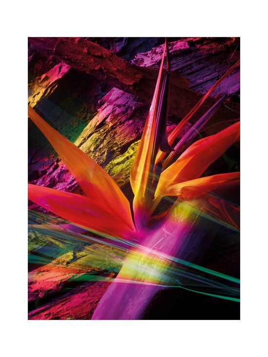 Maison Crivelli - Ambre Chromatique Extrait de Parfum -tuoksu - NOCOL | Stockmann - photo 8