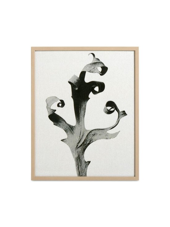 BoConcept - Delphinium-taulu - BEIGE,MUSTA,HARMAA - photo 1 BoConcept - Delphinium-taulu - BEIGE,MUSTA,HARMAA | Stockmann - photo 1