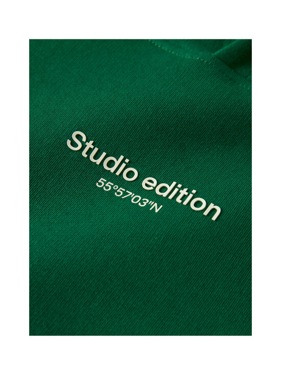 Name It - Džemperis ar kapuci - VERDANT GREEN PRINT:W. JET STREAM PRINT | Stockmann - photo 3