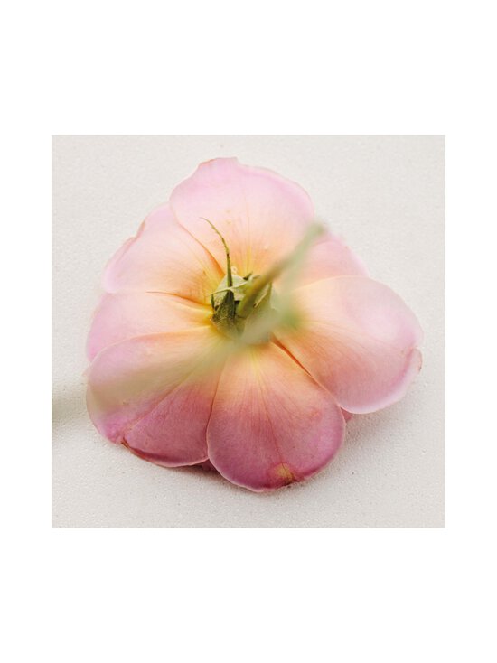 Chloé - Atelier Des Fleurs Rosa Damascena EdP -tuoksu - NOCOL | Stockmann - photo 7