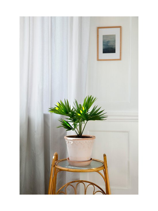 Bergs Potter - Københavner-ruukku Ø 21 cm - ROSA - photo 2 Bergs Potter - Københavner-ruukku Ø 21 cm - ROSA | Stockmann - photo 2