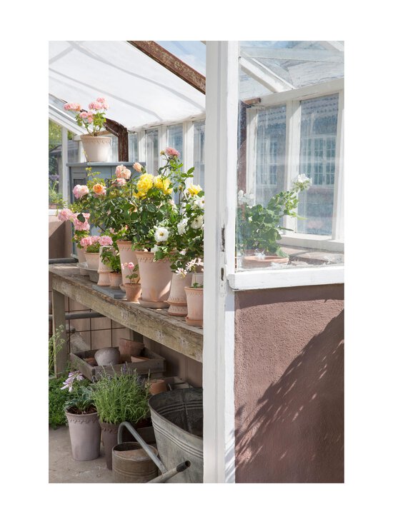 Bergs Potter - Københavner-ruukku Ø 21 cm - ROSA - photo 8 Bergs Potter - Københavner-ruukku Ø 21 cm - ROSA | Stockmann - photo 8