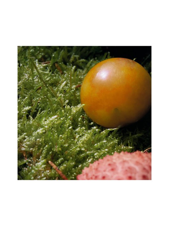 Chloe - Nomade EdT -tuoksu 30 ml - NOCOL - photo 4 Chloe - Nomade EdT -tuoksu 30 ml - NOCOL | Stockmann - photo 4
