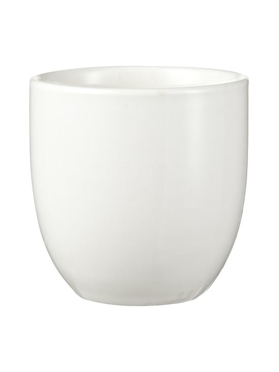 White Plum teetass 7,5 x 7 cm