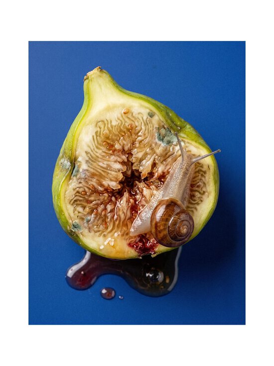 Born To Stand Out - Fig Porn EdP -tuoksu - NOCOL | Stockmann - photo 5