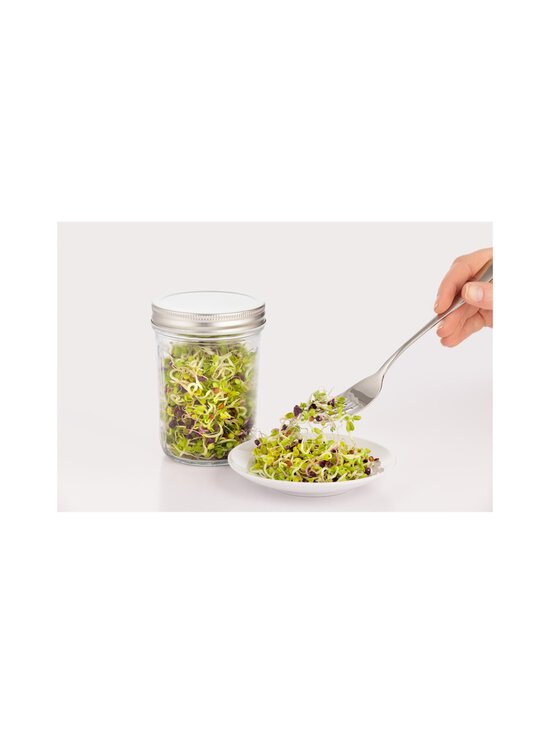 Kilner - Germination Set dīgšanas komplekts 500 ml - CLEAR/WHITE | Stockmann - photo 5