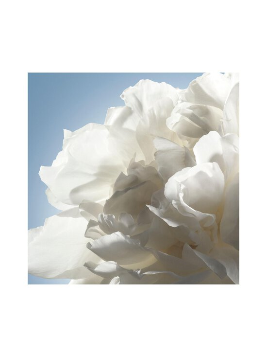 Cacharel - Noa EdT tualetes ūdens 30 ml | Stockmann - photo 9