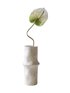 Botané - Light Green Anthurium -koristekukka - WHITE | Stockmann