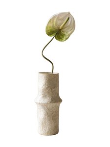 Botané - Light Green Anthurium -koristekukka - WHITE | Stockmann
