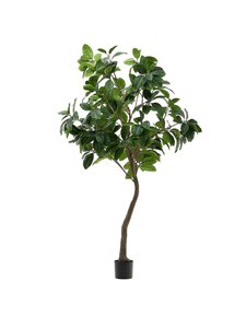 Kave Home - Ficus-tekokasvi - VIHREÄ | Stockmann
