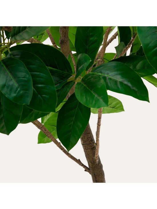 Kave Home - Ficus-tekokasvi - VIHREÄ - photo 3 Kave Home - Ficus-tekokasvi - VIHREÄ | Stockmann - photo 3