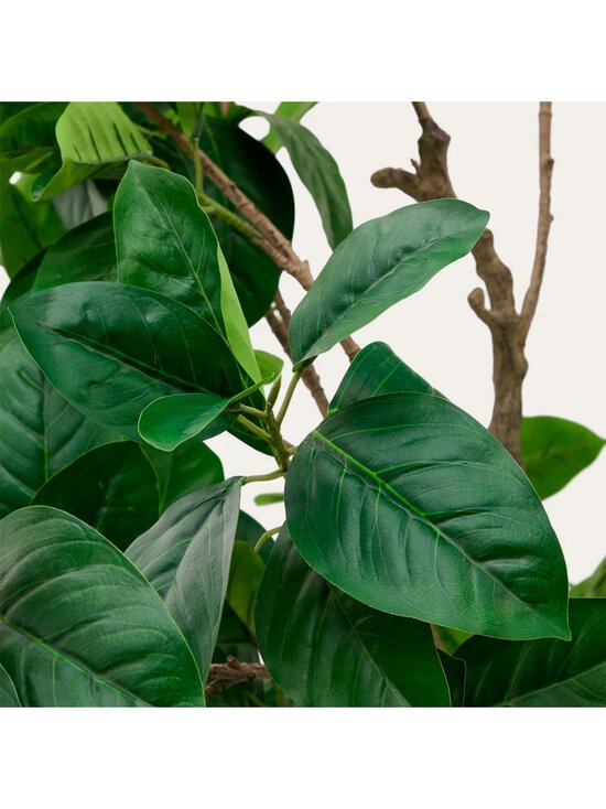 Kave Home - Ficus-tekokasvi - VIHREÄ - photo 4 Kave Home - Ficus-tekokasvi - VIHREÄ | Stockmann - photo 4