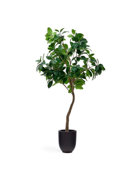 Kave Home - Ficus-tekokasvi - VIHREÄ - photo 6 Kave Home - Ficus-tekokasvi - VIHREÄ | Stockmann - photo 6