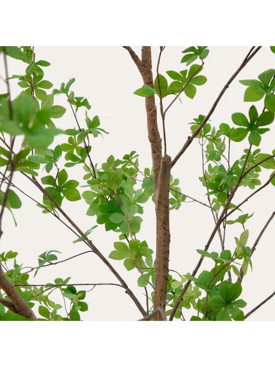 Kave Home - Enkianthus-tekokasvi K 214 cm - GREEN | Stockmann - photo 4