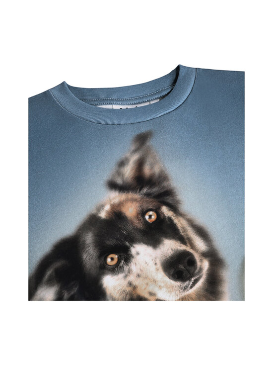 Molo - T-särk Riley United Field - 9953 DOGGY DUO | Stockmann - photo 3