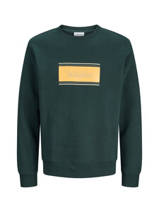JACK & JONES junior - Dressipluus JjBuster - SCARAB | Stockmann